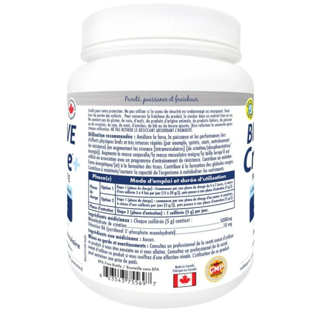 Naka Platinum BIOACTIVE CREATINE +B6, 400g - Image 3