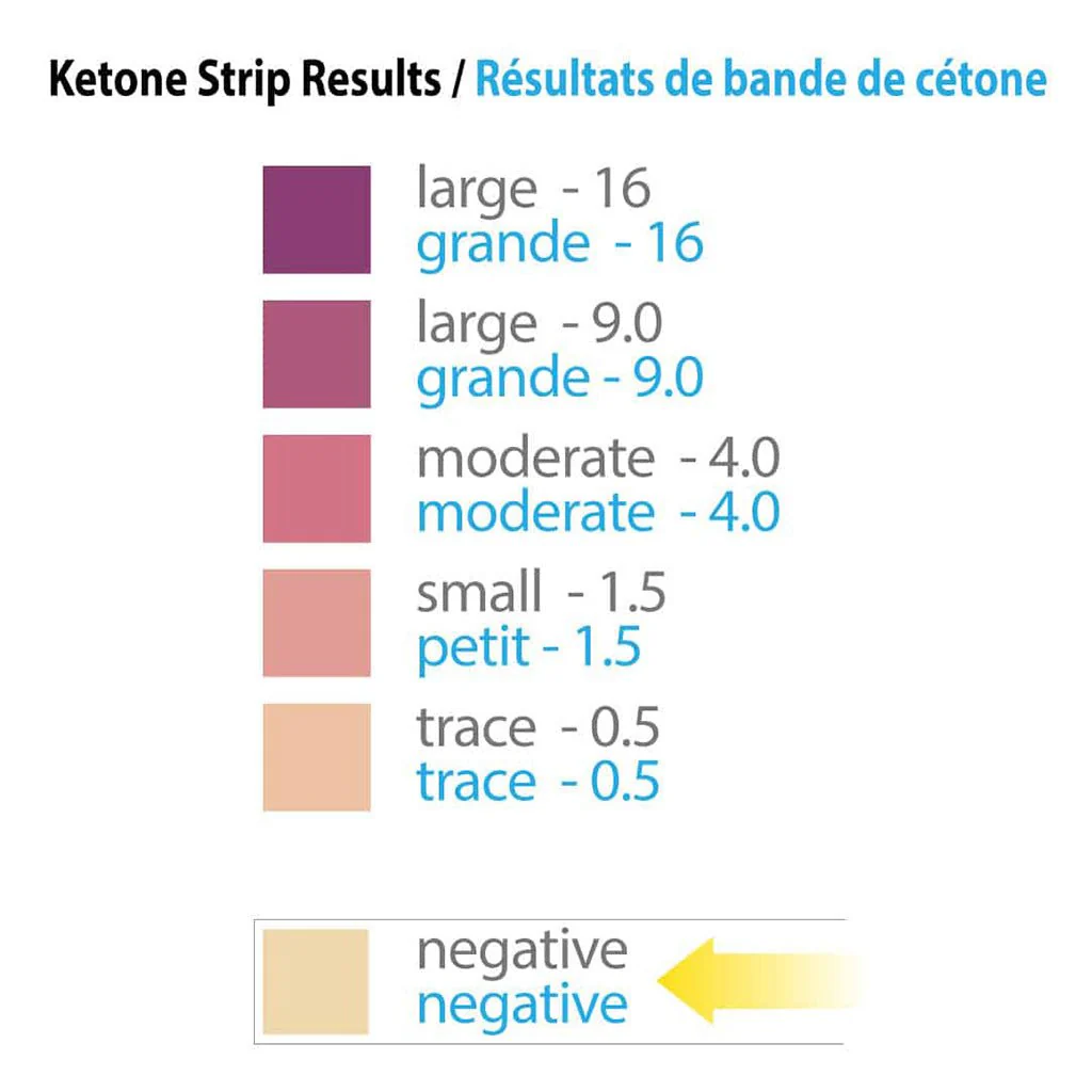 Prairie Naturals KETOSTRIPS (Ensure Fat-Burning Ketosis), 100 Test Strips - Image 3